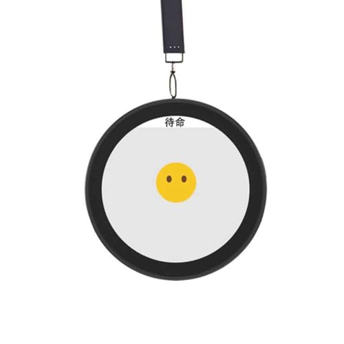 Xiaozhi AI Chat Robot Box avec bande de développement programmable - 5
