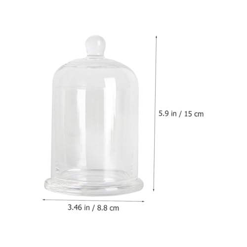 DECOMELODY 㫕tCJbv KXJNeOX p[eB[p }O o[e_[ ȃz[o[