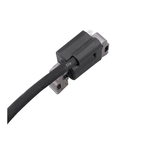 Bobine d'allumage à induit 595304 haute performance pour moteur