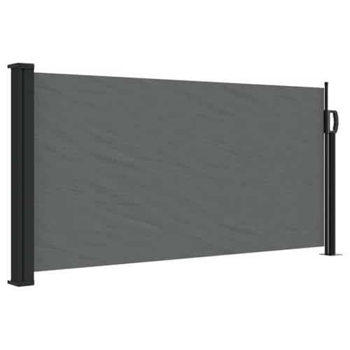 vidaXL Toldo Lateral retráctil Antracita 100x500 cm