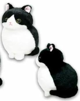 Amazon.co.jp: tt□ハチワレねこのモリー モリー ST（ねこ、猫、ネコ