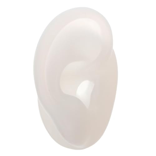 Beavorty Piercing Teaching Ear Fake Smooth Texture Ideal for Medical School Demonstrations