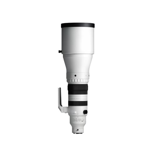 Image of 300-600mm F4 DG OS | Sports