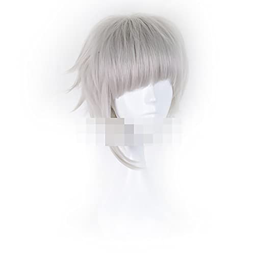 Perruque Cosplay Anime, Perruque Cosplay Nakajima Atsushi, Perruque gris Pour Bungo Stray Dogs, Pour Halloween, FêTe, Carnaval, Vie Nocturne, Concerts, Mariages Cover
