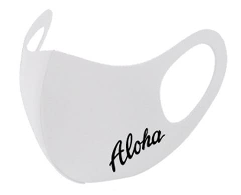 [PCYR[|[V] IWivg nCA N[ }XN RȏwłP肪333~ JԂg 􂦂 nC t t_X |Cg vg (J[FzCg fUCFAn)