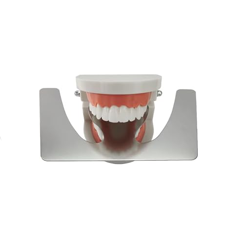 Image of Dental Stainless Steel Fox Plane Plate Autoclavable Occlusal Maxillary Casting Jaw Plate for Fabricating Dentures