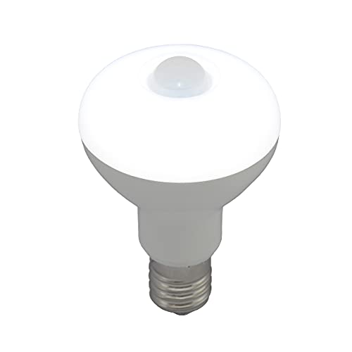 LED電球 レフランプ形 E17 40形相当 人感・明暗センサー付 昼光色_LDR4D-W/S-E17 9 06-3414 (× 2)