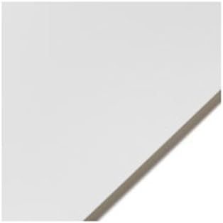 Legion Yupo Polypropylene Sheet, 20 X 26 inches, White, 1 Sheet (Y26YUPOWH742620)