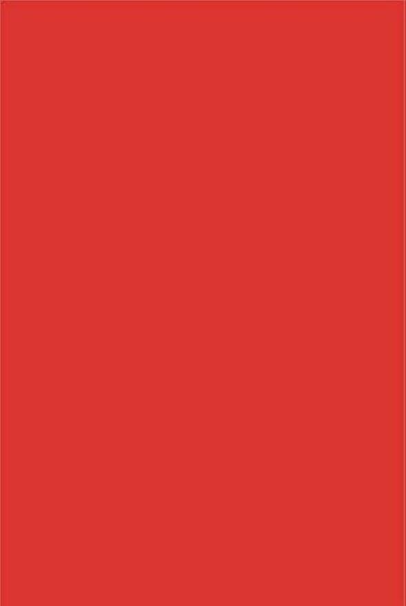 Image of SEJASCOLLECTIONS | Pack of 20 | Red, Bright, A1, BIG / FULL Size, Pastel Sheets / Chart Paper, Used in art and craft, collage, projects, posters etc. Plain / Unrulled, Size: 70x56 centimeters, 200 GSM thickness.