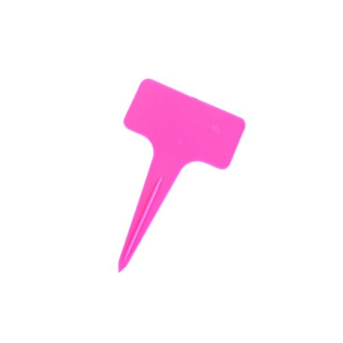 QUXVUIS Etiquetas de jardín de 50 piezas, marcadores patio trasero para interiores y exteriores PP, plántulas frutas, plantas, flores, hierbas en maceta, etiquetas para letreros, Rosa