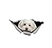 OGJFLT Auto Sticker Autoaufkleber Lustig Dog 2Pcs 26Cm X 12Cm Tier Süßer Hund Autoaufkleber Malteser Zerrissenes Metall Autos Und Motorräder Dekoration Vinyl-Aufkleber Wasserdicht