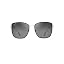 Gloss Black With Silver/Neutral Grey Polarized