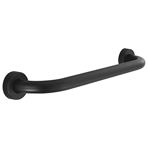 HONPHIER Badkamer Rail SUS 304 RVS Grab Bar Handvat Anti-Slip Veiligheid Hand Rail Ondersteuning Muur Grab Bars voor Ouderen Senior Assist Bad Grab Handvat, Mat Zwart (40CM)