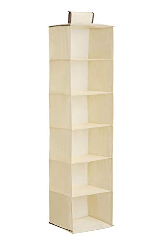 Premier Housewares - Zapatero para Colgar (6 Compartimentos), Color Beige