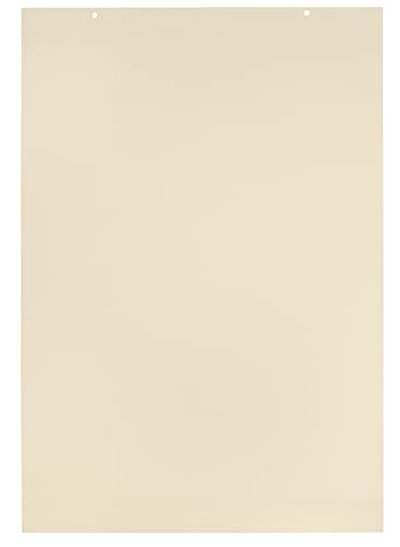 School Smart Jumbo Manila Tag Unruled Chart Paper, 36 X 24 Inches, 100 Sheets #TOP25