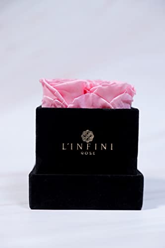 Preserved Roses In A Box | Real Pink Roses That Last For Years | Gifts For Her - Wife, Mom, Sister| Valentine's Day, Anniversary, Birthday, Mother's Day And Birthdays #TOP4