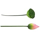 Décoration de lotus artificiel : la capsule et de lotus artificielles, d'un vert éclatant, sont magnifiques et réalistes. elles seront un complément parfait à votre bassin. fleurs de lotus artificielles