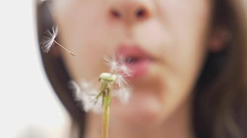 Aloha Collana Dente di leone Esprimi un desiderio Fiore Vero Soffione Catena in Acciaio Collane Idea Regalo Donna Compleanno Amica by