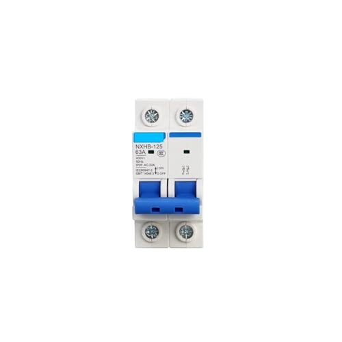Disjoncteur électrique 2P 40A tableau modulaire maison