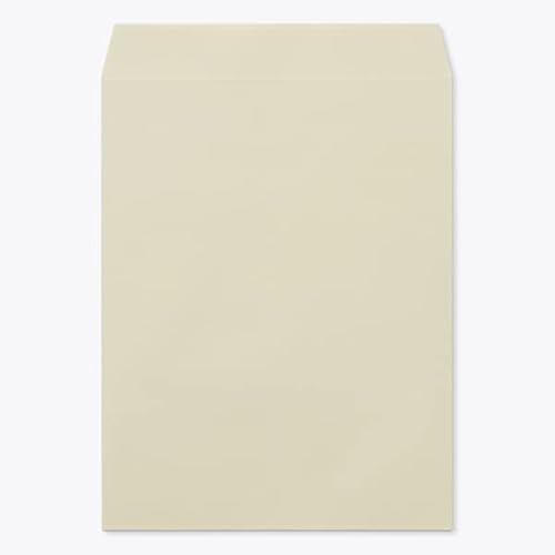 RN  p3 X~\ KVo[(WO[) 100g giV 100 / B5p J[Ntg n X֔ԍgȂ 00542070-0100