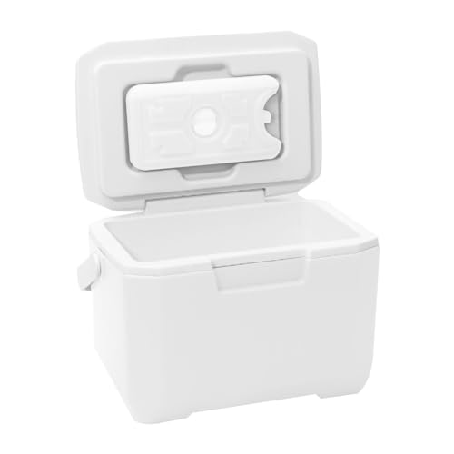 Caja enfriadora de camping de 6 L, portátil para viajes, pequeña nevera con asa de transporte resistente, caja térmica de viaje con 1 caja de bolsa de hielo, cajas de hielo para camping, senderismo,