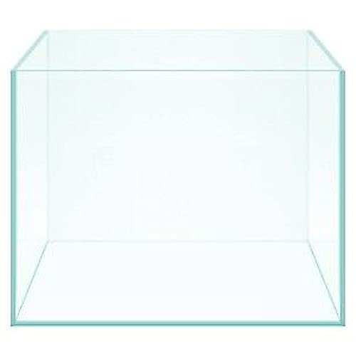 Image of Parko Home Decoration Turtle Aquarium Tank Beautiful Fashion Clear Glass Mini Fish Tank Aqua Habitat Aquarium Tank Only (Colour May Vary)