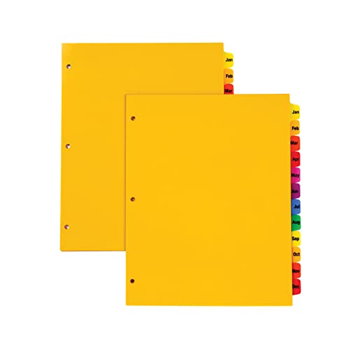 Oxford Plastic Monthly Dividers for 3 Ring Binders, 12 Multicolor Preprinted Tabs, Jan-Dec, Letter Size, 2 Pack (89608)