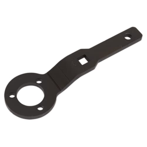 Herramienta para sujetar cangrejos con ajuste exacto Sealey VSE5093 gasolina