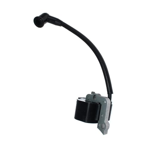 Bobine d'allumage pour B210 B215 et WS2200, pièce de rechange de haute précision