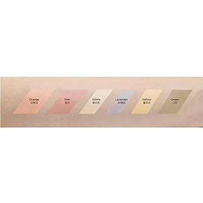 [JUNGSAEMMOOL OFFICIAL] Artist Concealer Palette (Blend) | Makeup Artist Brand | Color Corrector | Blemish Redness Dark Circles Cover Up | Brush Included