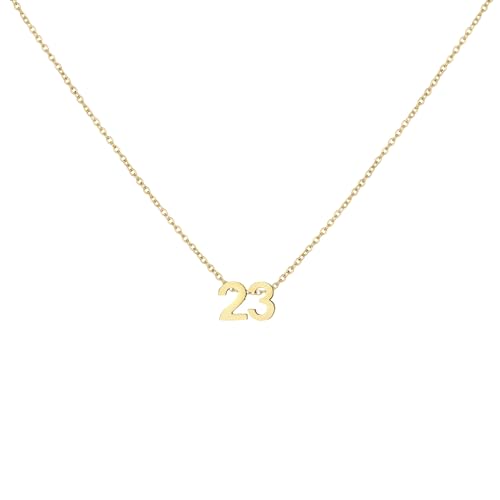 LOXUAKAM Number 23 Necklace for Women Charm Pendant Necklaces Dainty Birth Month Stainless Steel Necklace Personalized Jewelry Birthday Gift for Her