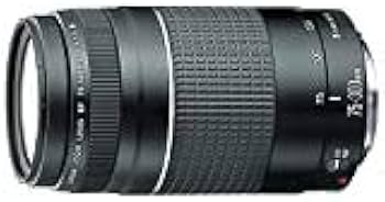 Canon純正 75-300mm 望遠レンズ 極美品 a4963 キヤノン Canon EF 75-300mm f/4-5.6 III 美品 EFマウント 望遠