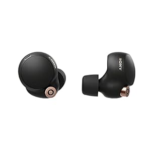 Sony WF-1000XM4 echte draadloze hoofdtelefoon met ruisonderdrukking (tot 24 uur batterijduur, stabiele Bluetooth…