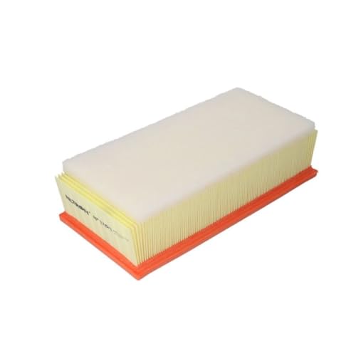Filtron Filtre Ă air, ap178/1