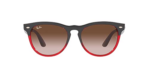 Ray-Ban RB4471 Iris Round Sunglasses