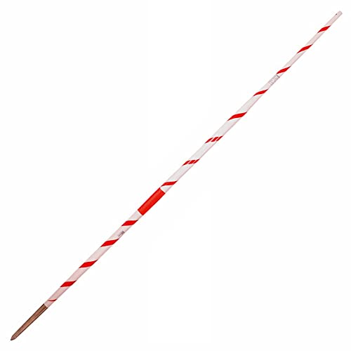 Image of Olympic Grade NHD Champion Javelin Throw Stick