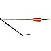 PG1ARCHERY 29.5 Inch Carbon Arrow Targeting Practice Hunting Arrows with Removable Tips for Compound、Recurve Bow (Pack of 12)