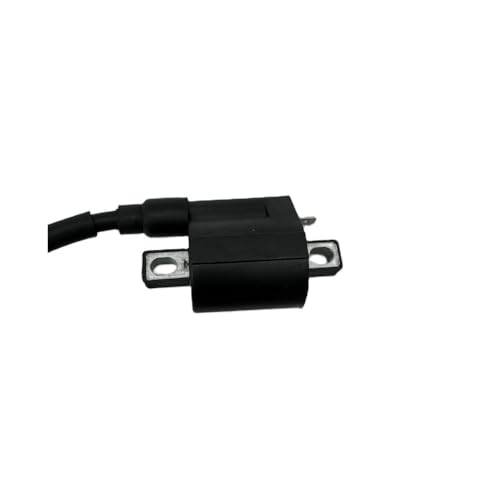 Bobina de encendido para rutas en ATV JS250, componente esencial de 250 cc 3