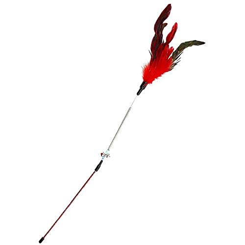 PSK PET MART Cat Spring Teaser Playing Stick and Feather Interactive Teasing Wand Toy (Length 62cm) (B099VG2RWX) Amazon Price History, Amazon Price Tracker