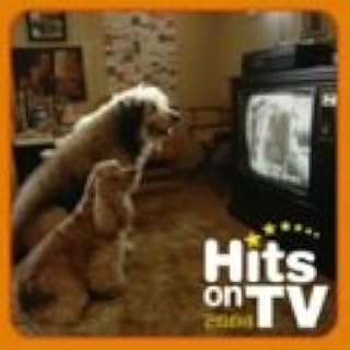 ヒッツ・オンTV 2004