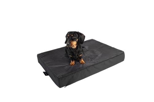 MyBestBuddy Hundekissen Premium orthopädisch mit 8 cm Vollschaum-Kern grau 70x50 cm M, Hundematte mit Stoffbezug, 40°C waschbar, allergikerfreundlich - Hundebett für kleine Hunde, 70 x 50 cm