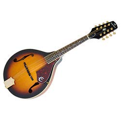 Amazon.com: Epiphone MM-30S 