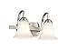 Kichler Keiran 14" 2 Light Vanity Light with Satin Etched White Glass in Brushed Nickel