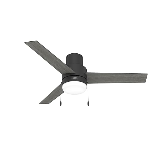 Hunter Fan Company 51949 Brunner Ventilador de techo, negro mate