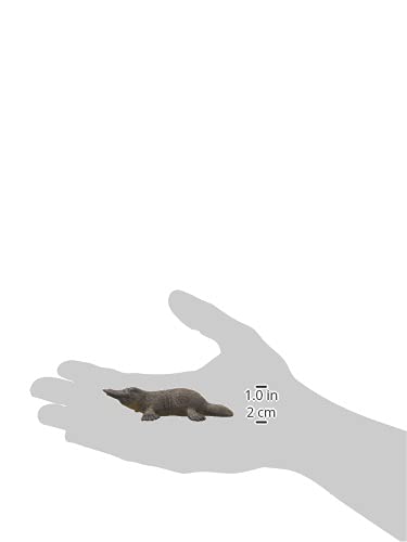 シュライヒ ワイルドライフ カモノハシ フィギュア 関連画像 2