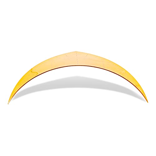 Aristo AR1550OR Geodreieck bruchsicher (Hypotenuse 16 cm, abriebfeste Tiefenprägung, biegsamer 0,75mm Vivak PET-G Kunststoff, Made in Austria) orange