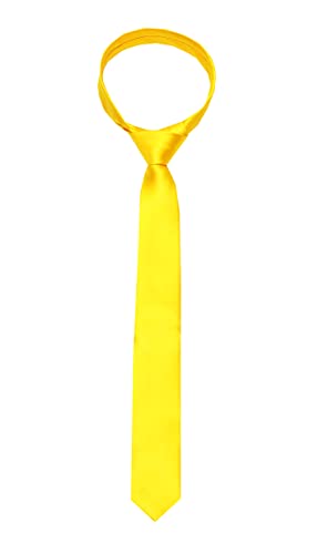 Image of TIE STUDIO Mens Formal Neckties| Standard Size | Premium fabric | Superior finishing| Packaging - Folder | Set of 1