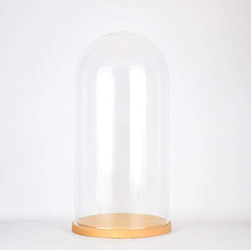EMH - Espositore a cupola in vetro con base in legno, altezza 41,5 cm