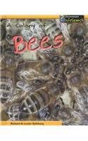 A Colony Of Bees (Animal Groups)