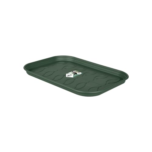 Elho Green Basics Grow Tray Saucer M - Verde - Internocoltura E Raccoltaesternoaccessori - Ø 35.7 X H 2.9 Cm